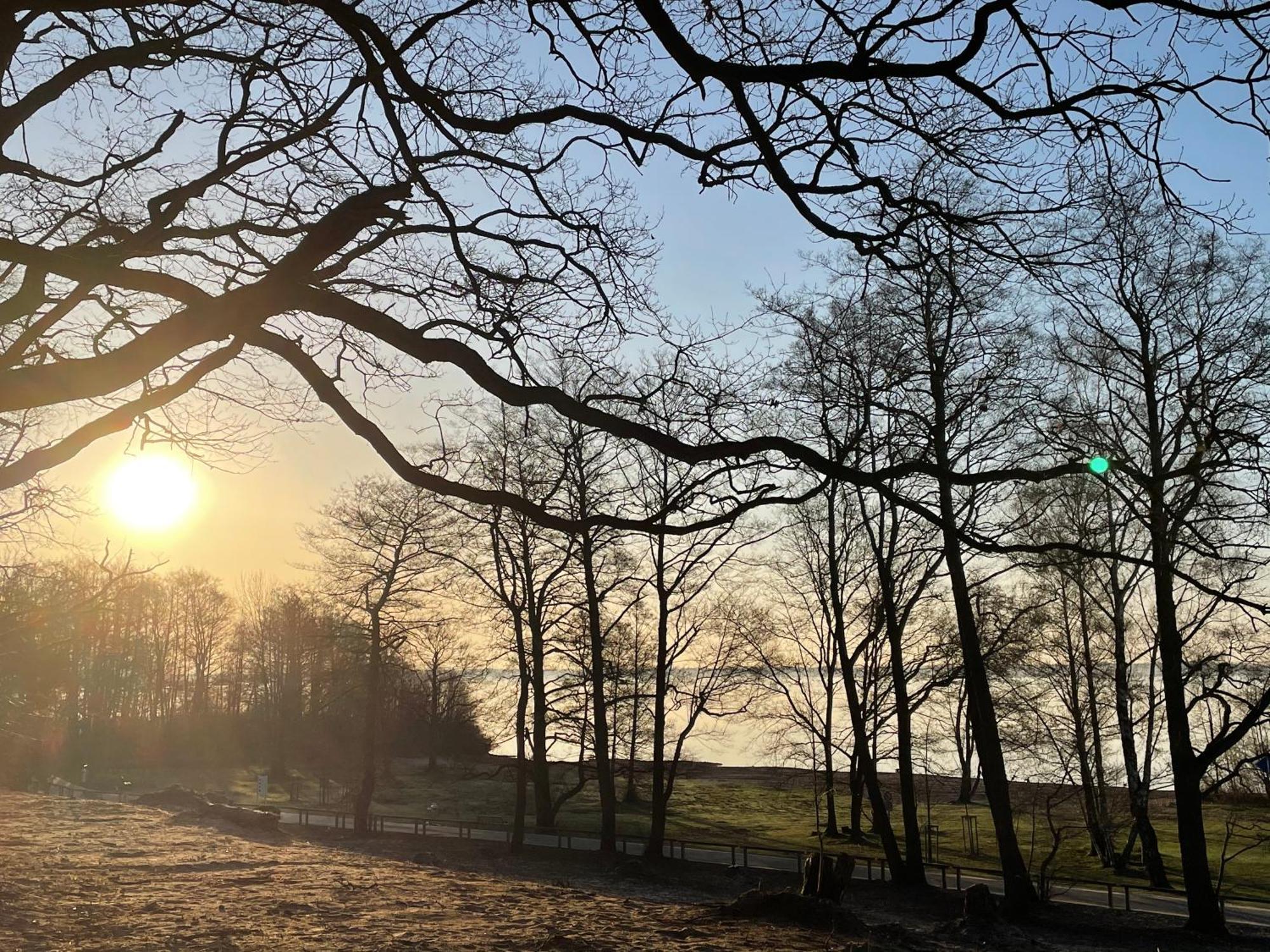 Strandhotel Weisser Berg Neustadt am Rübenberge Esterno foto
