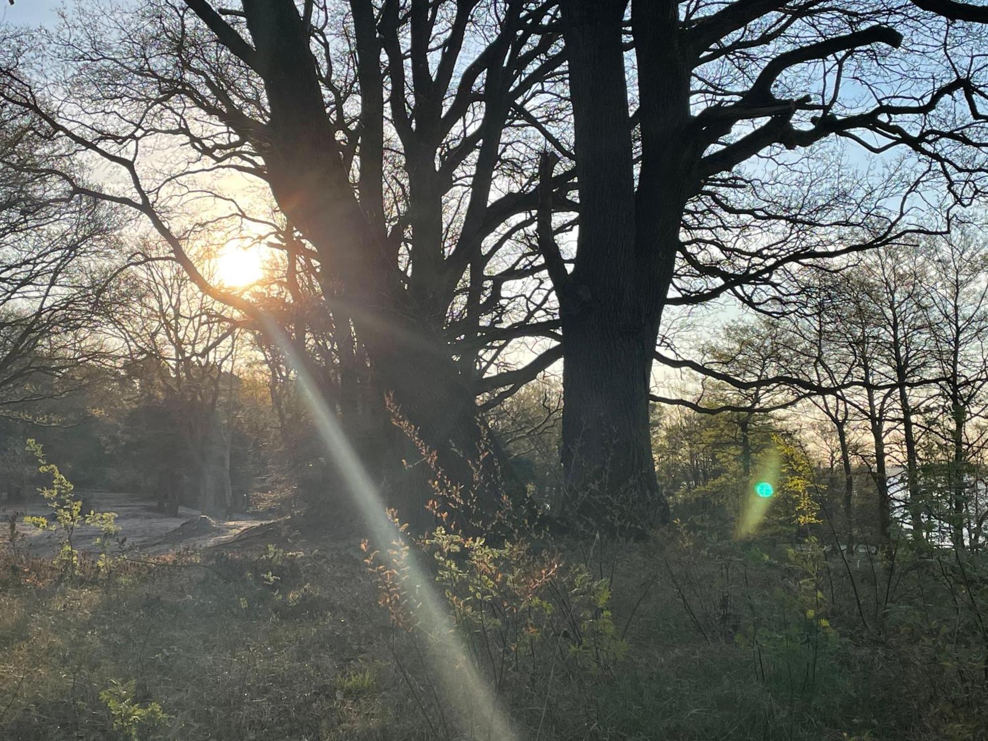 Strandhotel Weisser Berg Neustadt am Rübenberge Esterno foto